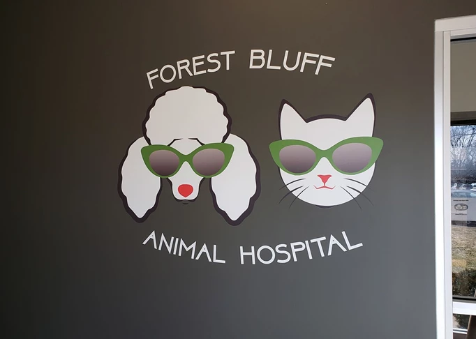 Wall Graphic for entrance of veterinarians office.   Professional Services | Lake Bluff, IL