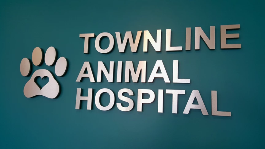 Logo wall with metal laminate letters on wall behind reception area at Townline Animal Hospital in Vernon Hills IL