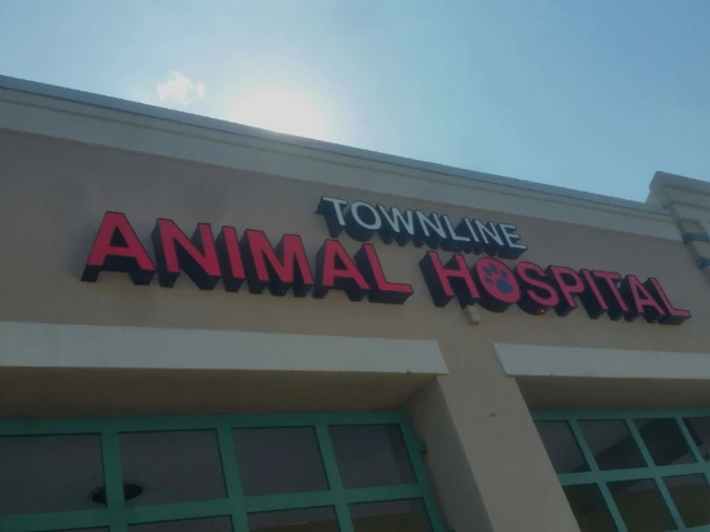 LED lighted channel letters for animal hospital in Vernon Hills, IL